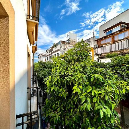 科爾多瓦San Fernando De La Ribera公寓 外观 照片
