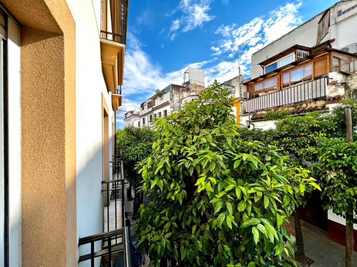 科爾多瓦San Fernando De La Ribera公寓 外观 照片